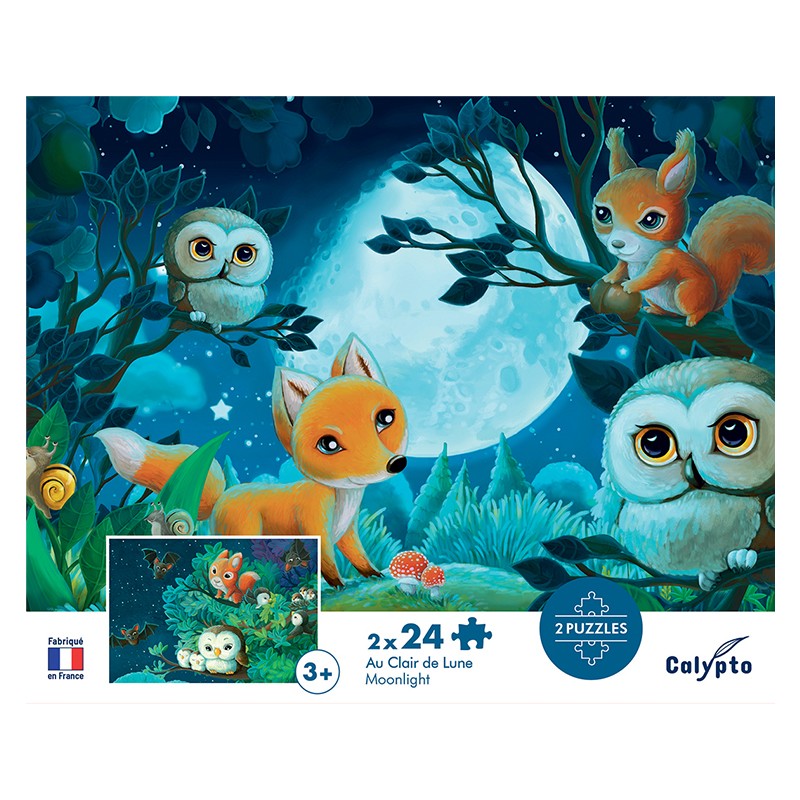 2x24 piece educational puzzles for children - Made in France