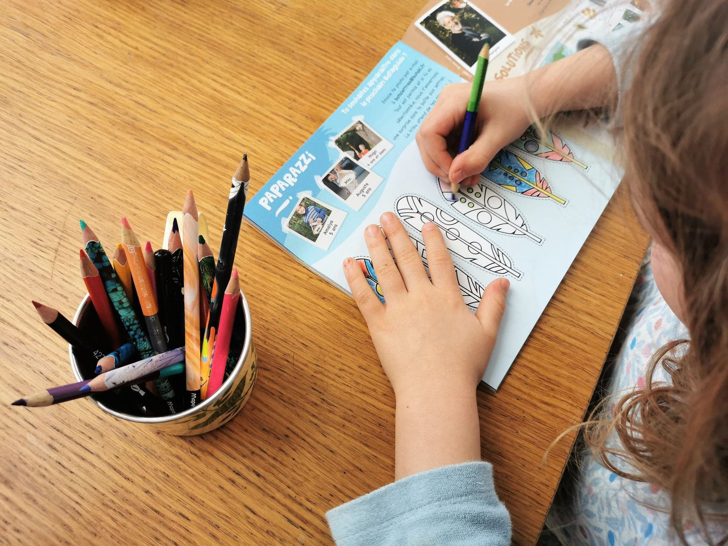 Le kit Oiseaux nichoir en bois Made in France - Botaki