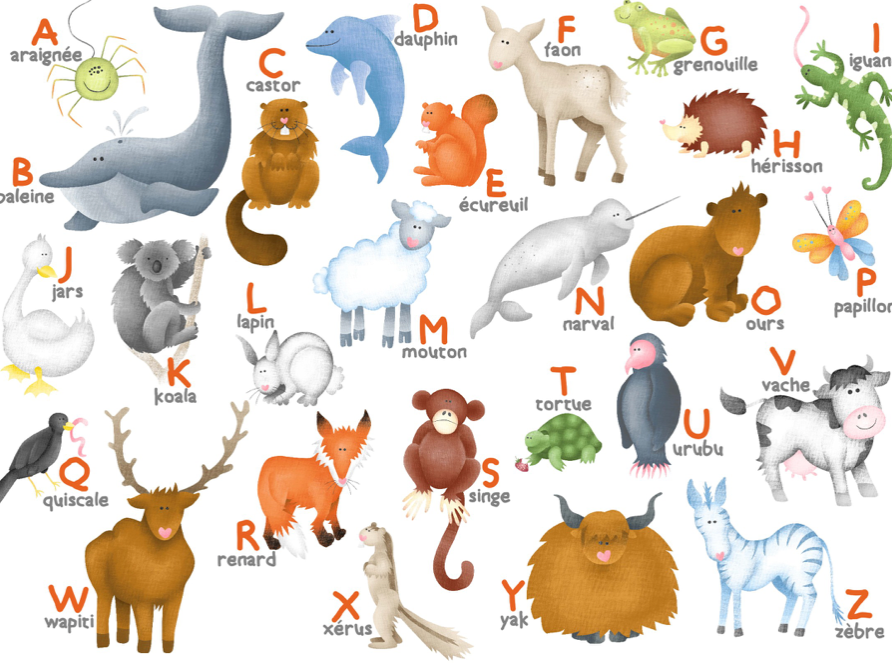 Puzzle bois 12 pièces L'Alphabet des animaux - Made in France - Michèle Wilson
