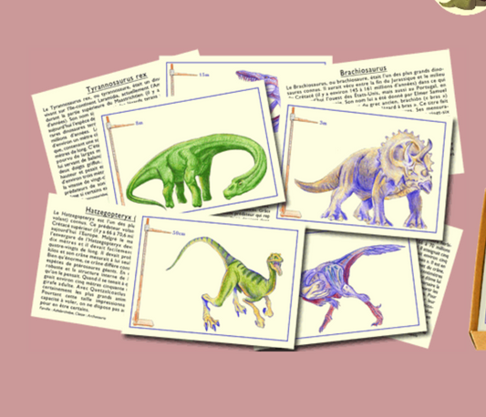 Cartes dinosaures