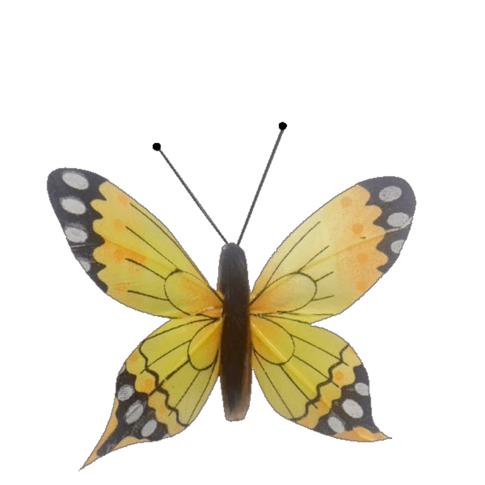 Kit papillon solaire Made in France