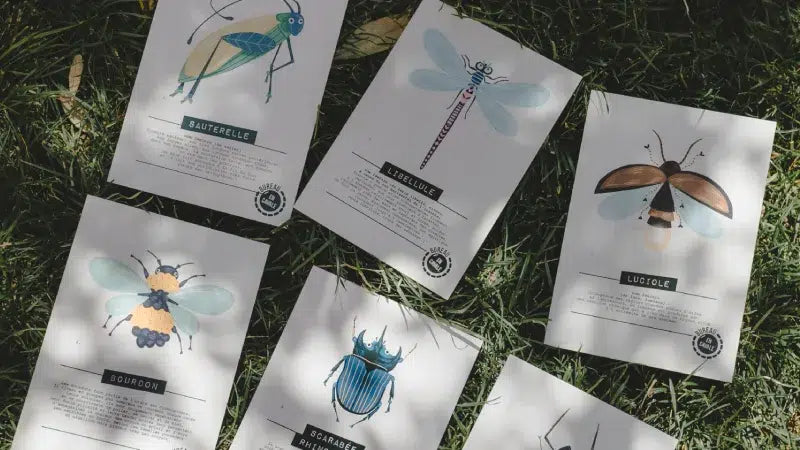 L'enquête par courrier Nature et insectes - made in France  - En cavale