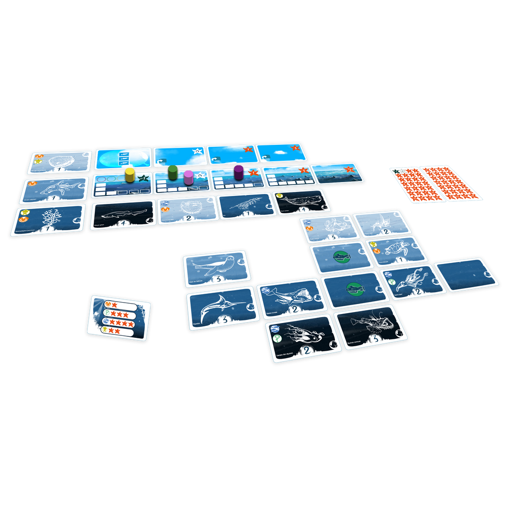 set de cartes du jeu Naéco