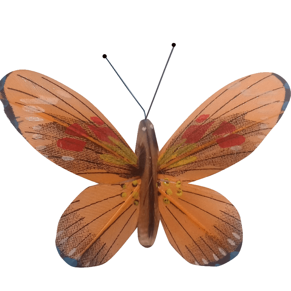 Kit papillon solaire Made in France