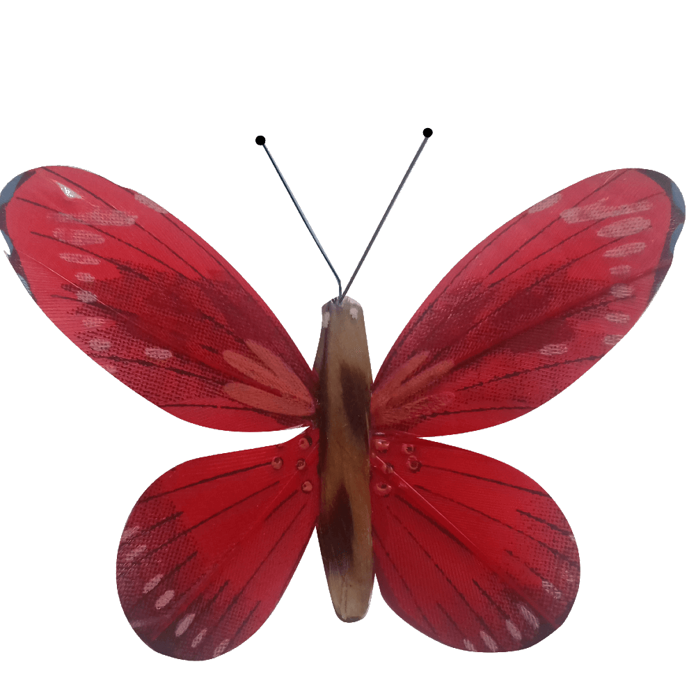 Kit papillon solaire Made in France