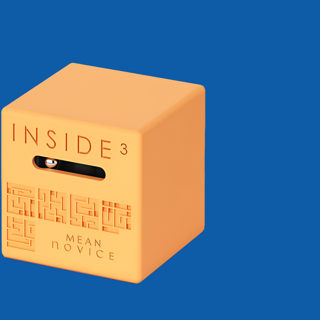 Casse tête "Mean Novice" - Made in France