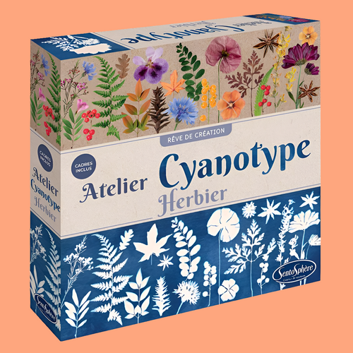 Atelier cyanotype adulte