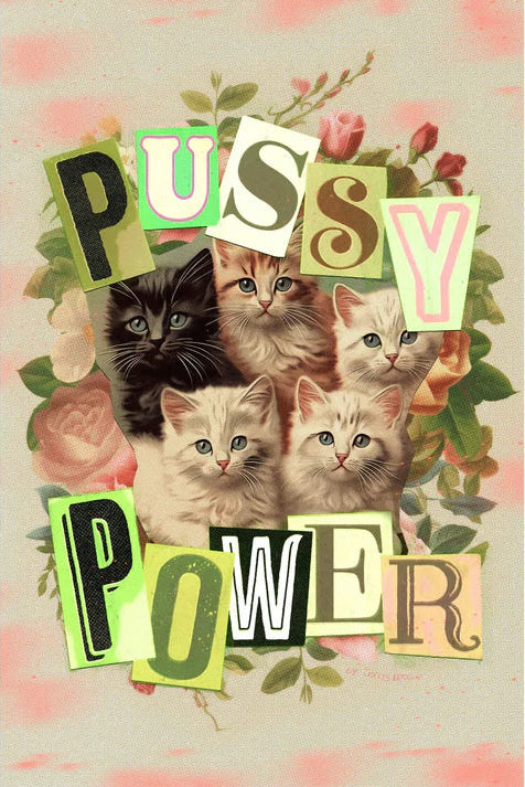 visuel puzzle 1000 pièces Pussy Power