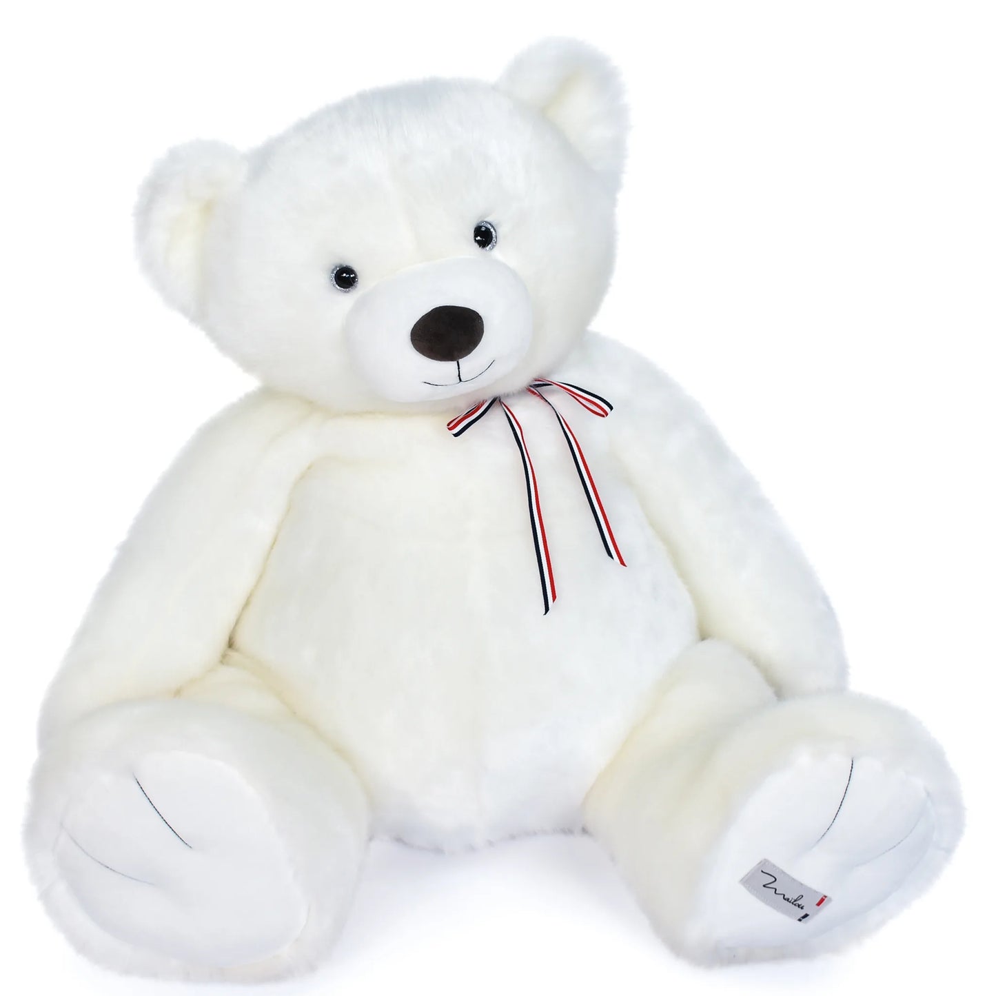 L'Ours Français : Rond et Généreux