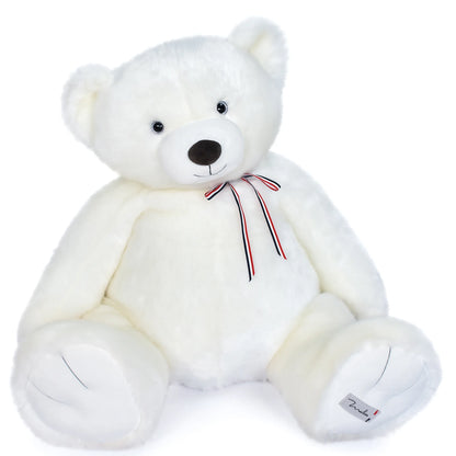 L'Ours Français : Rond et Généreux
