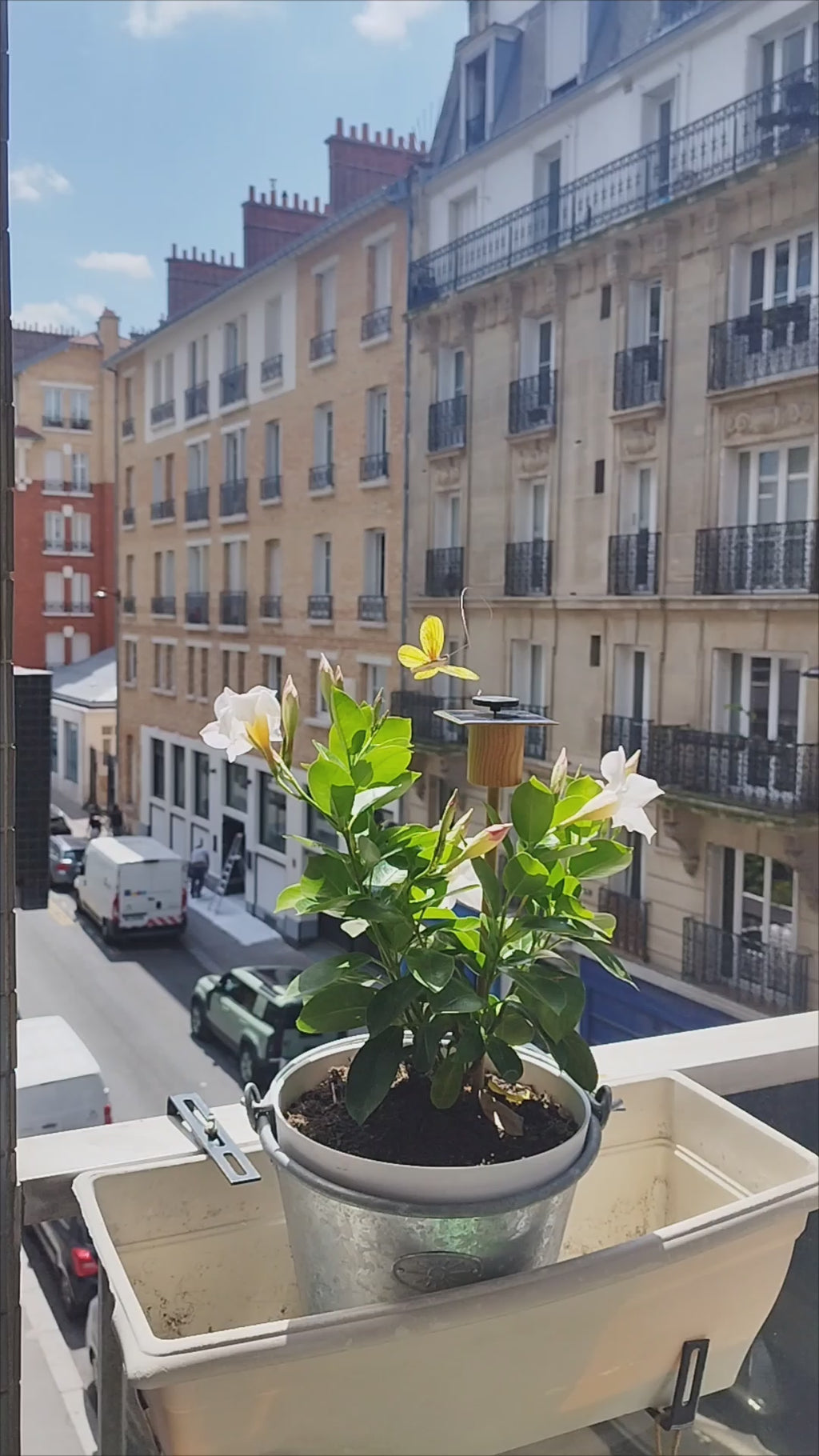 Kit papillon solaire Made in France