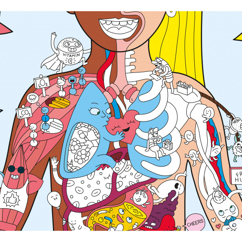 Poster géant et stickers My Body - Made in France - Omy