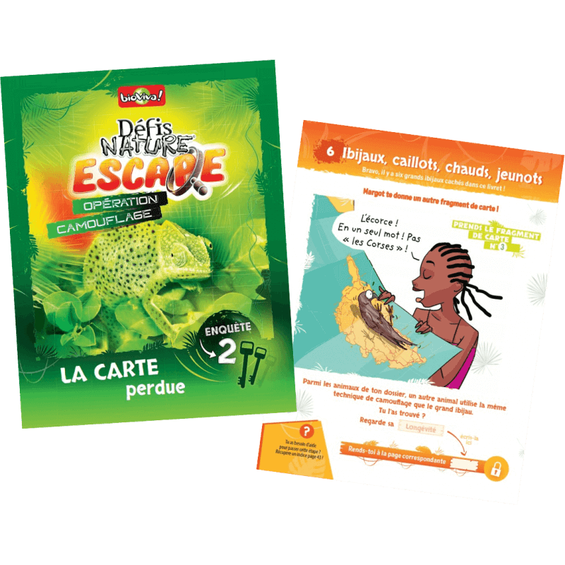 Opération Camouflage - Un jeu d'enquête Défis Nature à faire à la maison