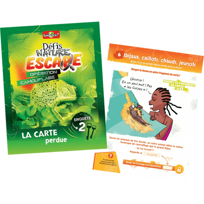 Opération Camouflage - Un jeu d'enquête Défis Nature à faire à la maison
