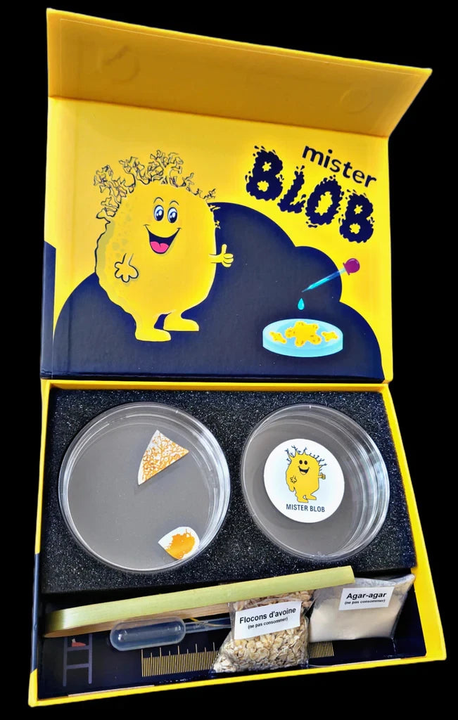 Mister Blob breeding box